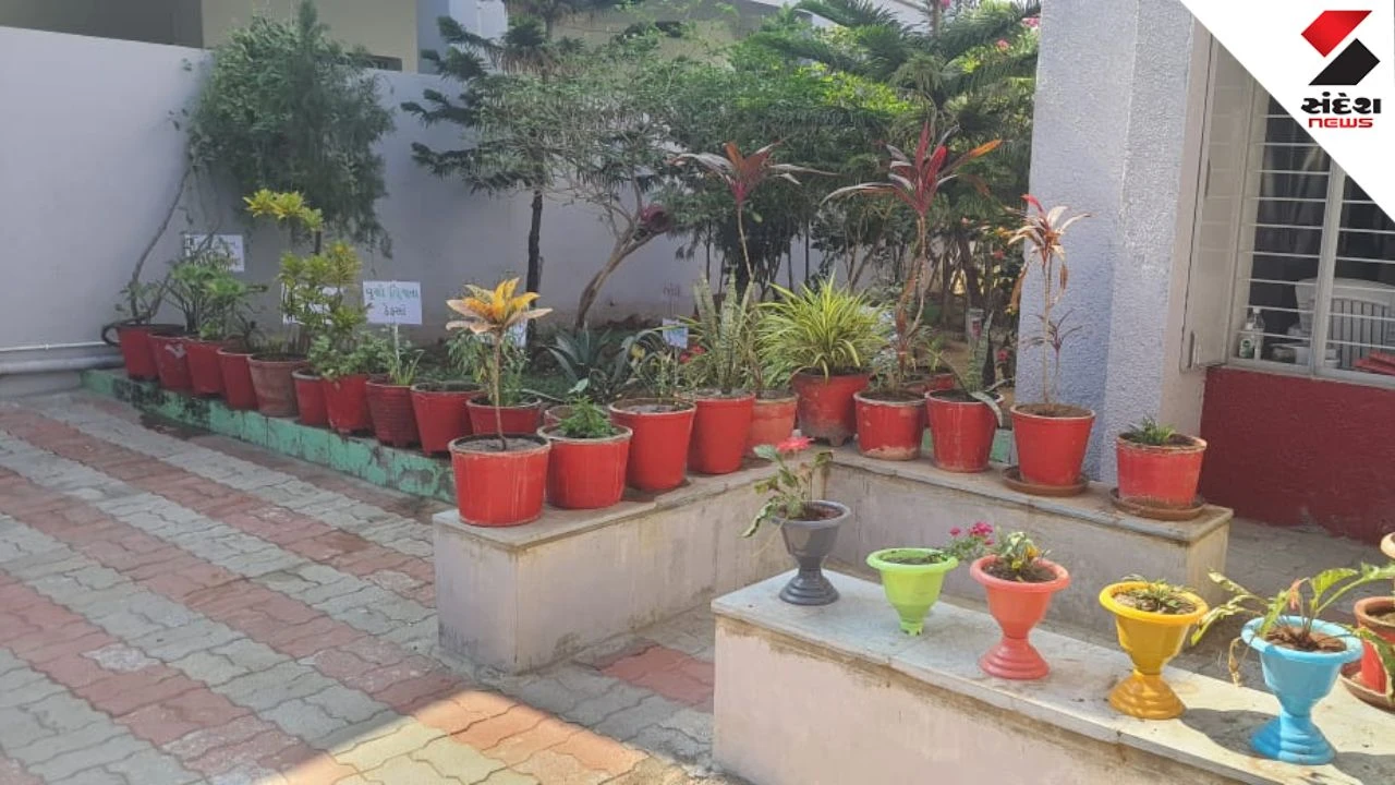 Anand News: Dali Primary School Wins National 'Clean and Green School' Award