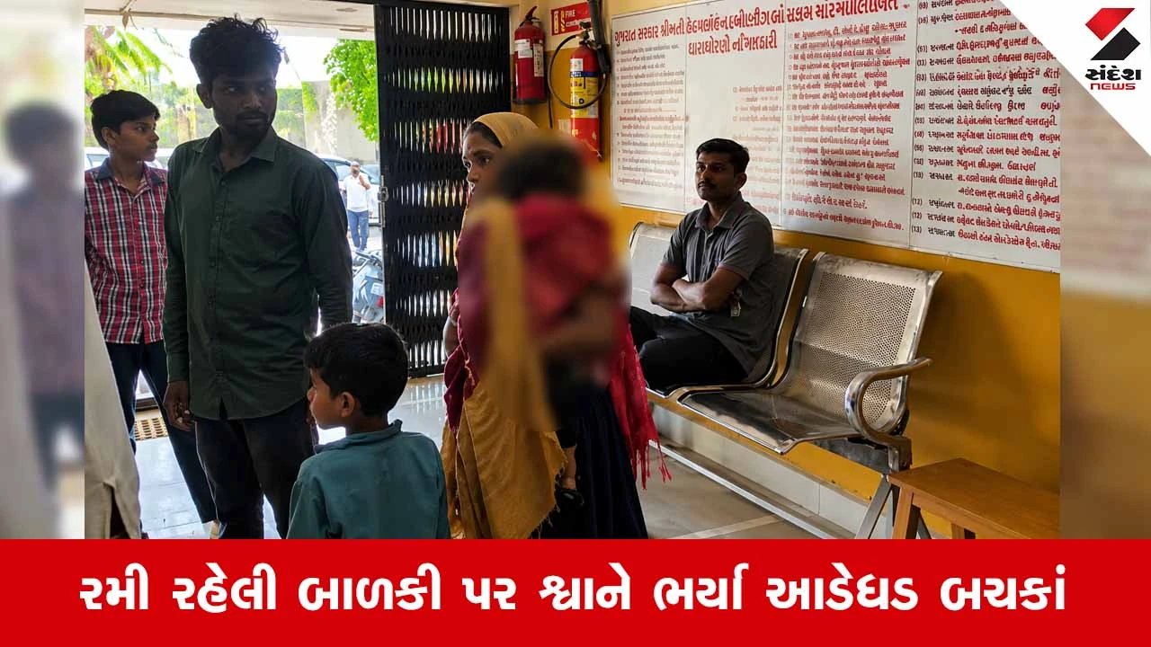 Dwarkaના ભાણવડમાં રખડતા શ્વાનનો આતંક: 1 વર્ષની માસૂમ બાળકી પર કર્યો જીવલેણ હુમલો