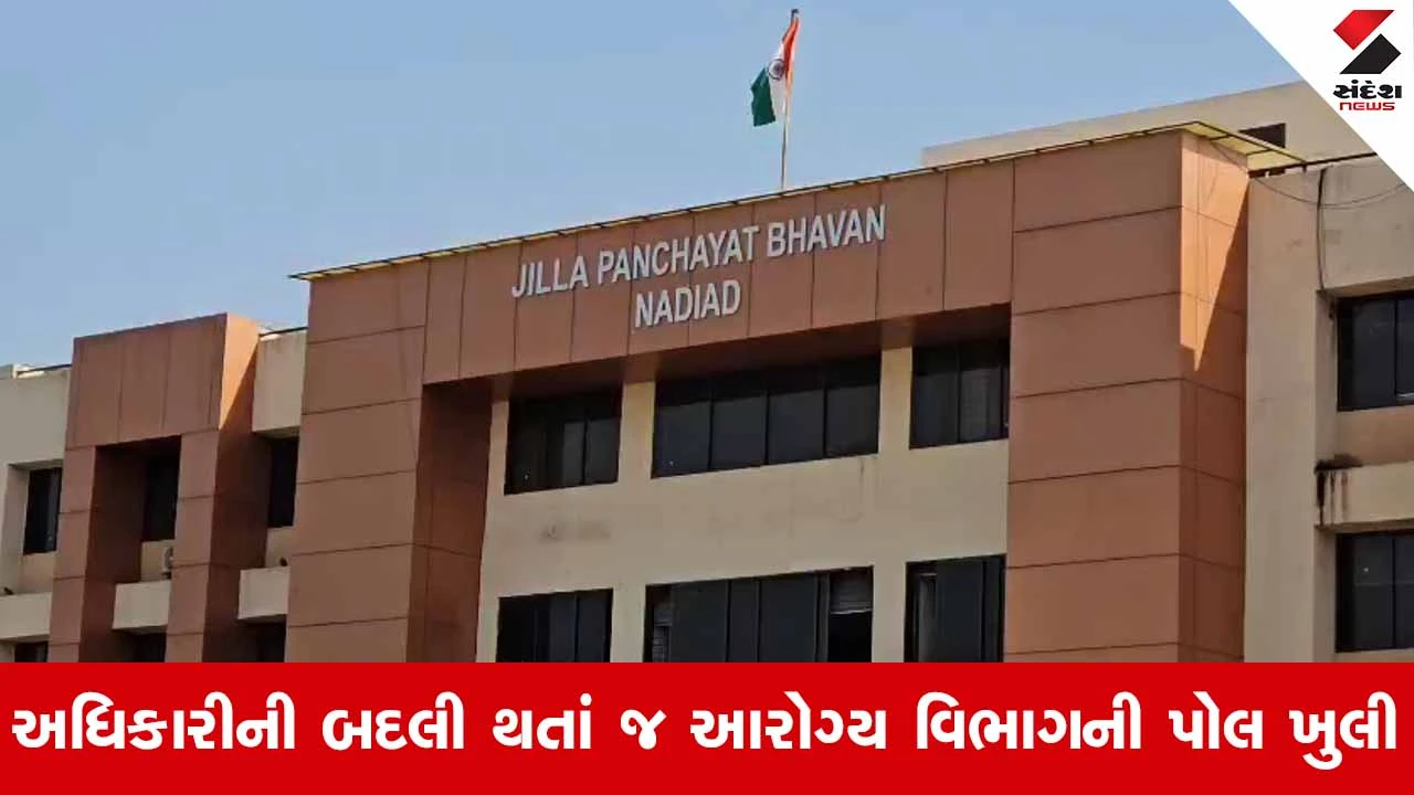 Kheda જિલ્લામાં ભયજનક 'ચાંદીપુરા' વાયરસની એન્ટ્રી: કપડવંજના સાલોડમાં 1 વર્ષનું બાળક બન્યું ભોગ