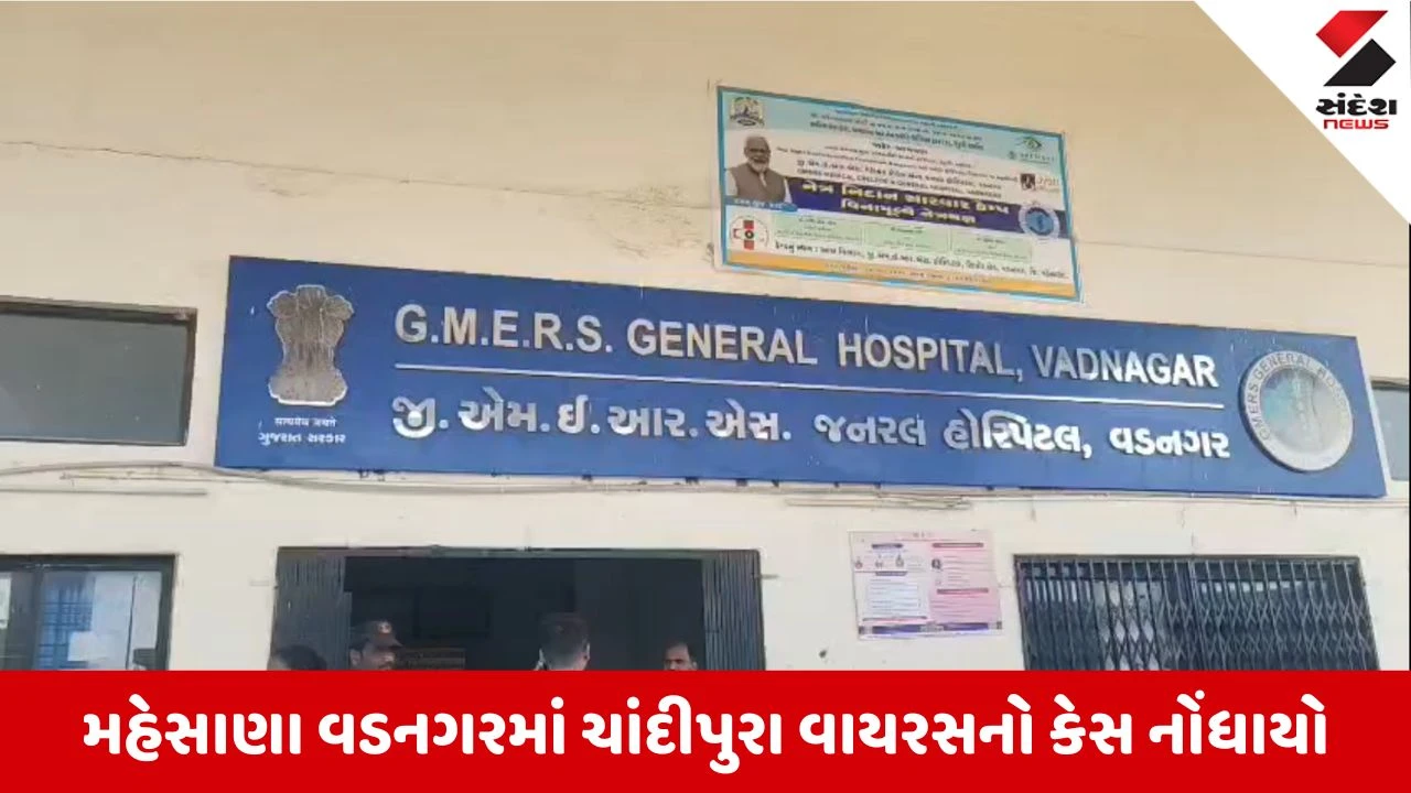 Mehsana News: વડનગર GMERS હોસ્પિટલમાં ચાંદીપુરા વાયરસનો કેસ નોંધાતા ફફડાટ