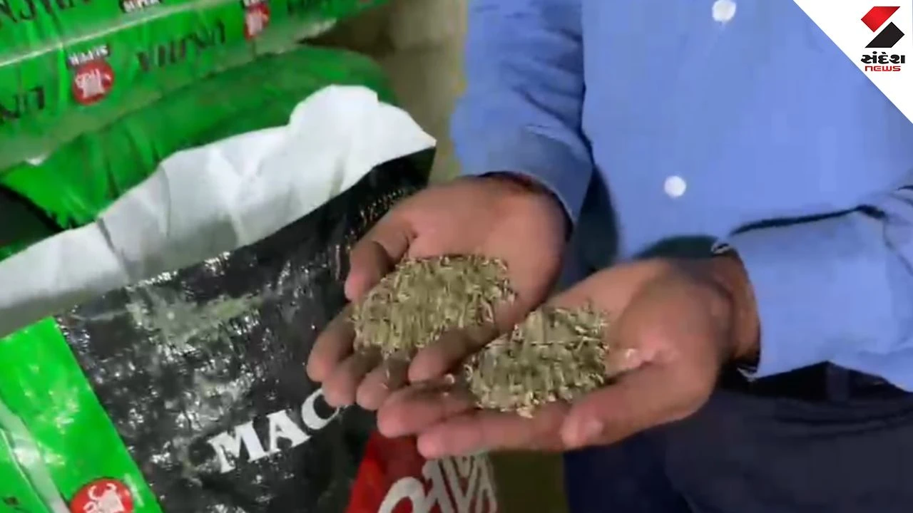 Unjha Fennel Seeds Scam: 26 Tonnes of Chemical Colored Variyali Seized