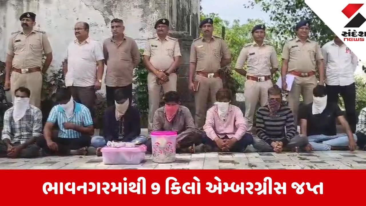 Bhavnagar: કરોડો રૂપિયાની કિંમતનું પ્રતિબંધિત 9 કિલો એમ્બરગ્રીસ જપ્ત, આંતરરાષ્ટ્રીય સ્મગલિંગ રેકેટના 8 સૂત્રધારોની ધરપકડ