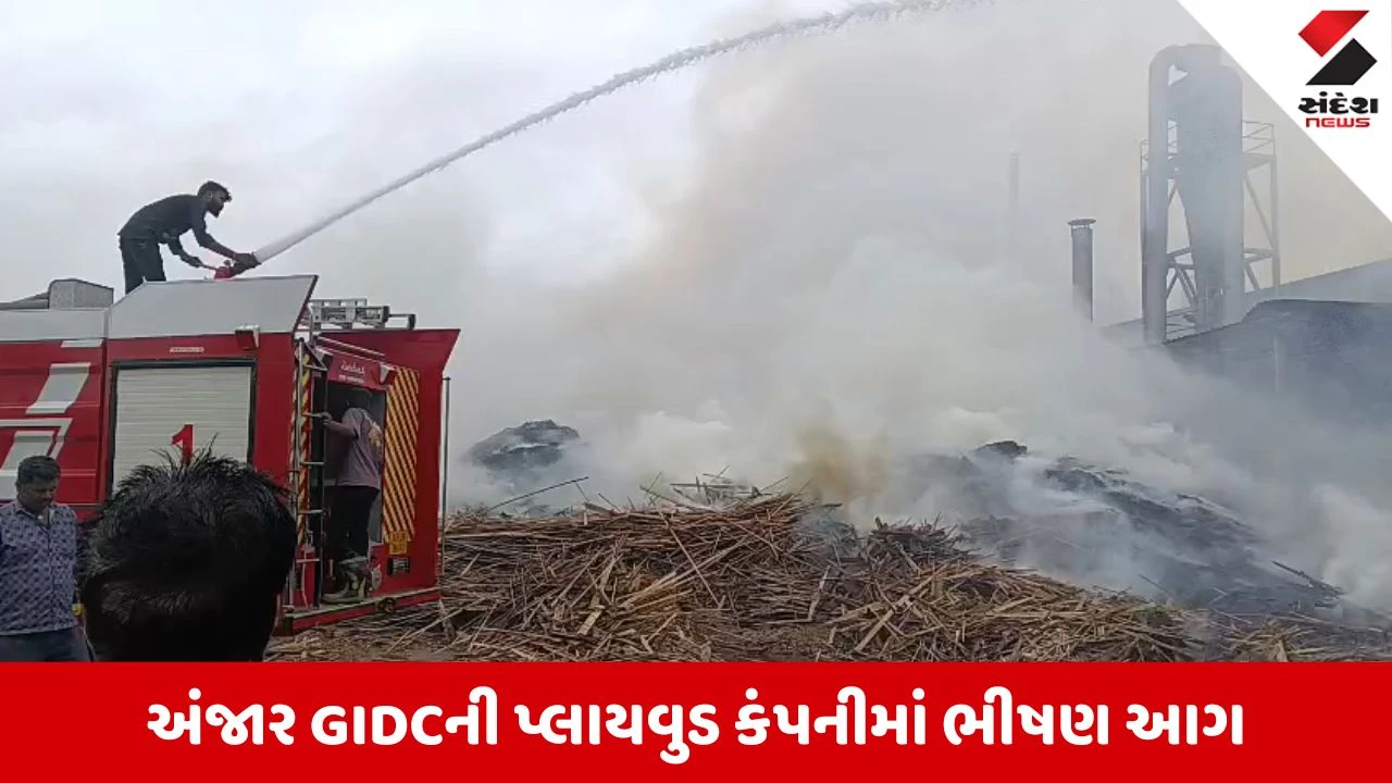 Kutch News: અંજાર GIDCમાં પ્લાયવુડ કંપનીમાં ભીષણ આગ, ફાયર ફાઇટરો ઘટના સ્થળે