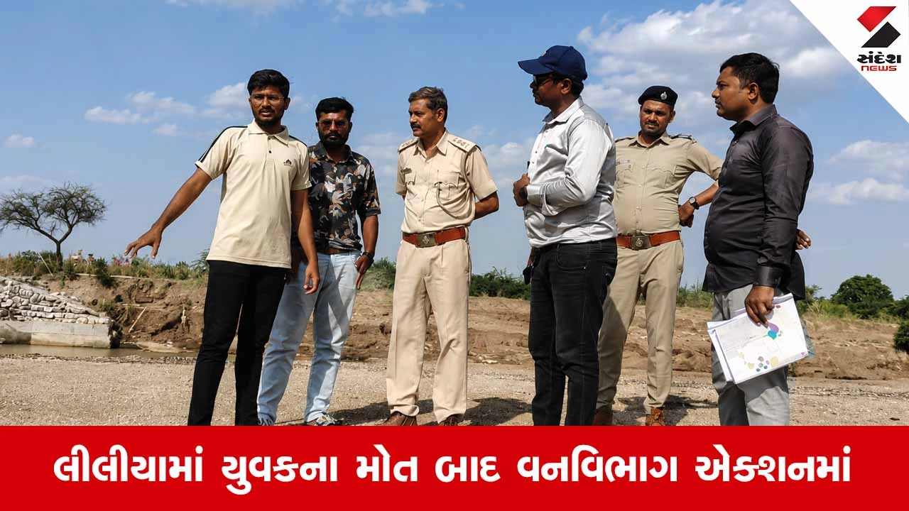 Amreli સિંહ હુમલો કેસ: ગેરકાયદેસર સિંહ દર્શન અને વીડિયો કોલ મામલે બે આરોપીઓ જેલ હવાલે