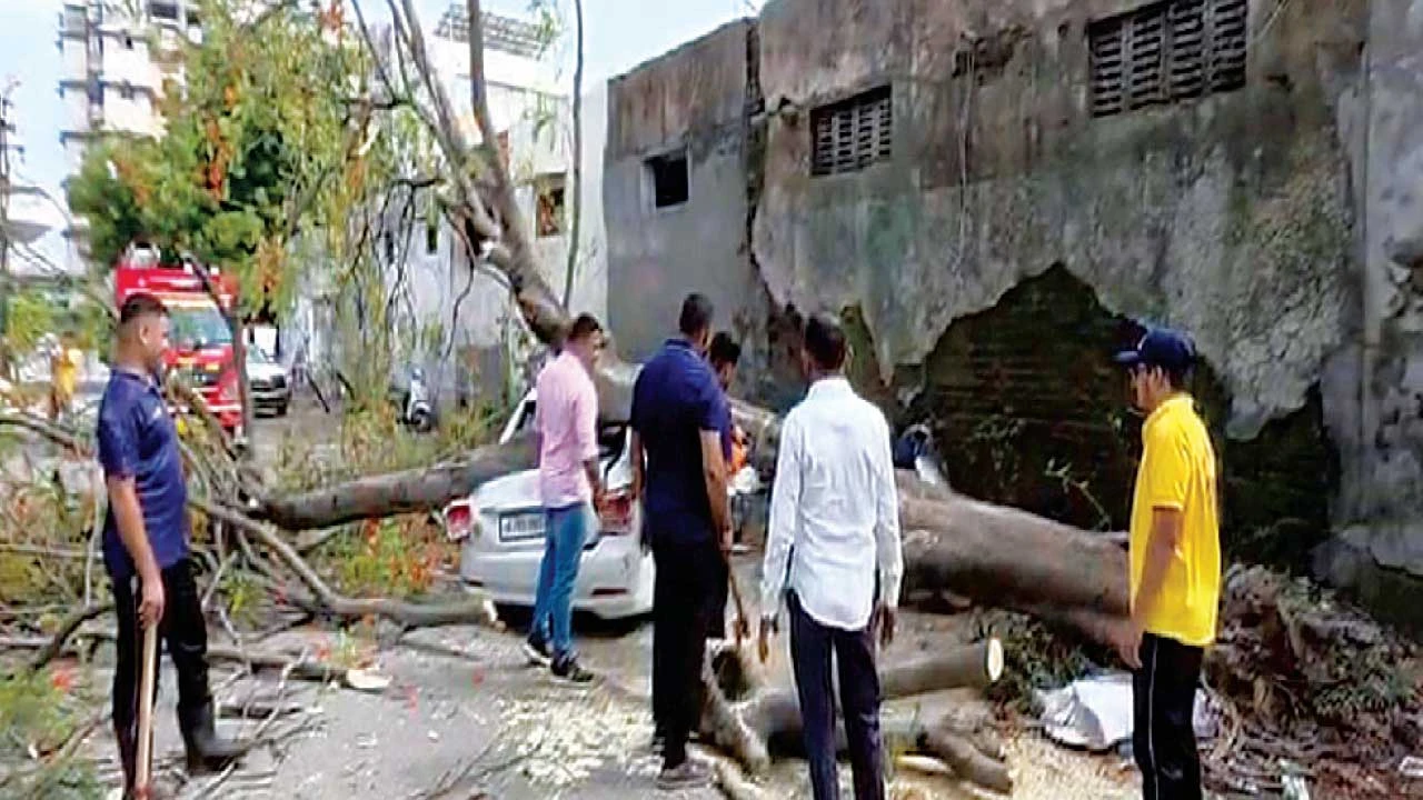 Bharuch: ભરૂચમાં ભારે પવનથી વૃક્ષ ધરાશાયી થતાં બે વાહન દબાયા