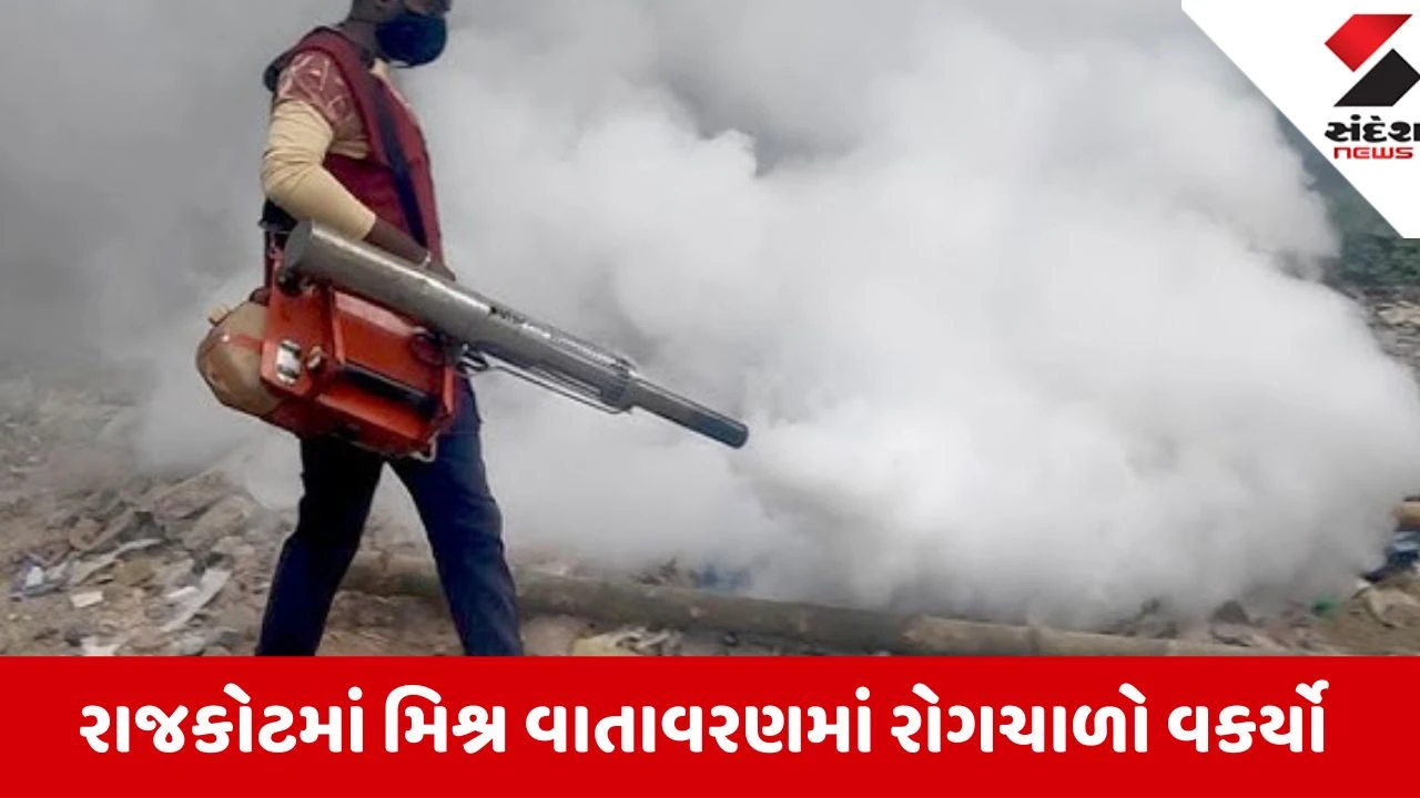 Rajkot: ટાઈફોઈડ અને કમળાના કેસો વધતા તંત્ર દોડતું થયું, મનપાના આરોગ્ય વિભાગે સફાઈ અભિયાન તેજ કર્યું