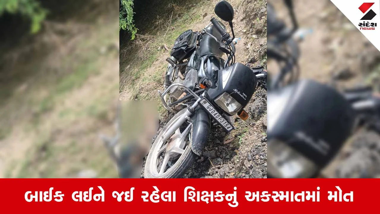 Bhavnagar News: પાલીતાણાના વડીયા નજીક કાળમુખો અકસ્માત નડતાં શિક્ષકનું ઘટનાસ્થળે જ કરુણ મોત
