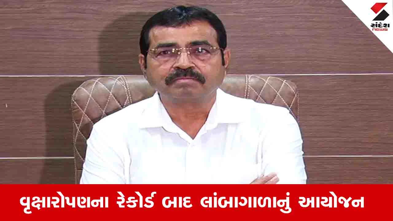 Ahmedabad News: AMC હવે ખાનગી એકમોમાં વૃક્ષો ટ્રીમ કરવા માટે બનાવશે પોલિસી