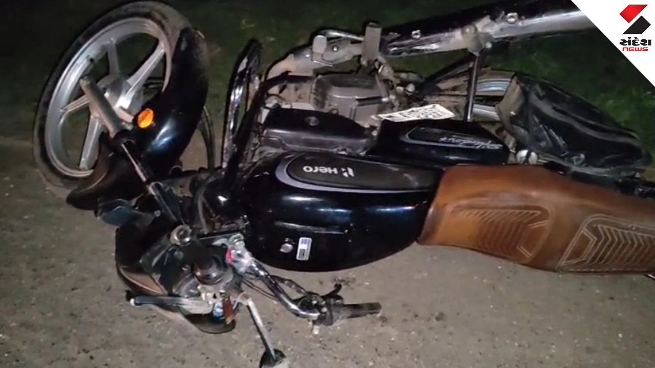 Anand Borsad Hit and Run: PI PP Vasava Arrested for Drunk Driving
