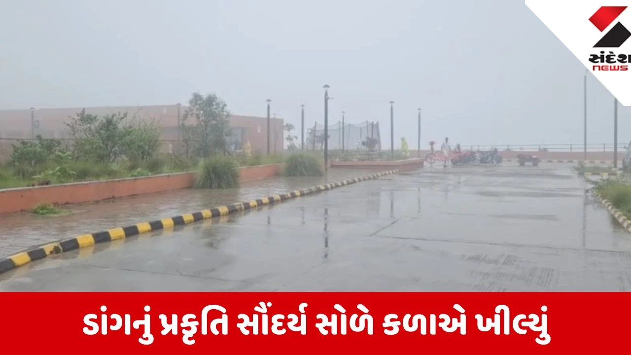 Dang: અસહ્ય ઉકળાટ અને ગરમીથી પરેશાન સાપુતારાના સ્થાનિક રહીશોને વરસાદી માહોલથી મળી મોટી રાહત