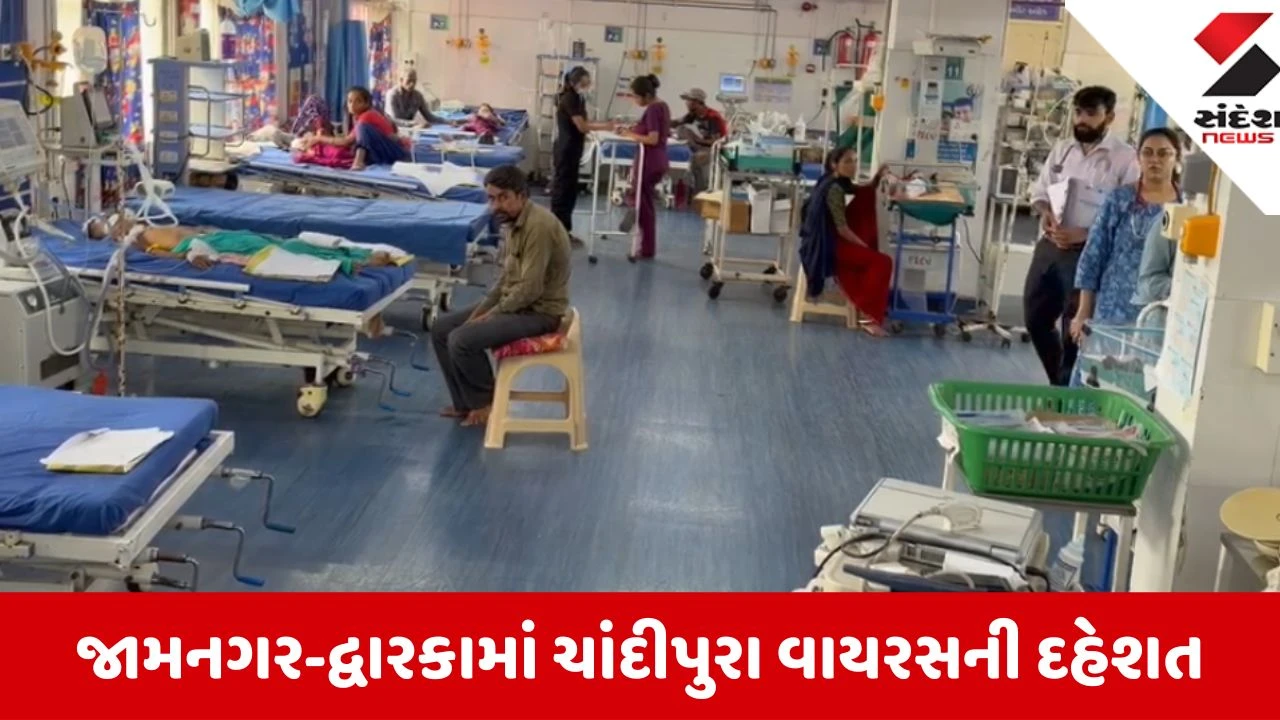Jamnagar: ચાંદીપુરા વાયરસની આશંકાથી જી.જી. હોસ્પિટલમાં 3 માસૂમ બાળકો ગંભીર હાલતમાં દાખલ