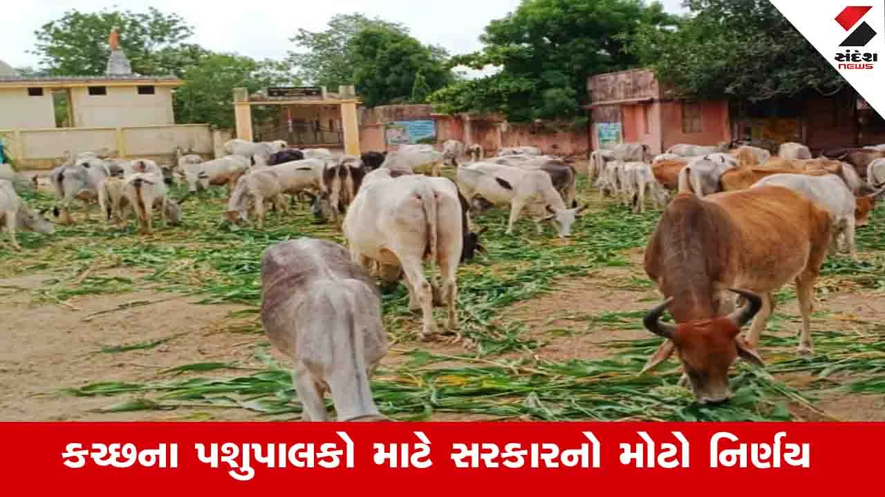 Kachchh News: જિલ્લામાં પશુધન માટે બે રૂપિયા કિલોના ભાવે પ્રતિ દિવસ 4 કિલો ઘાસ અપાશે