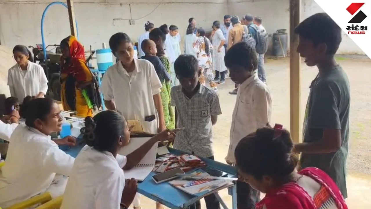 Bhavnagar News: Chandipura Virus Confirmed, 6-Year-Old Child Dies in Melana