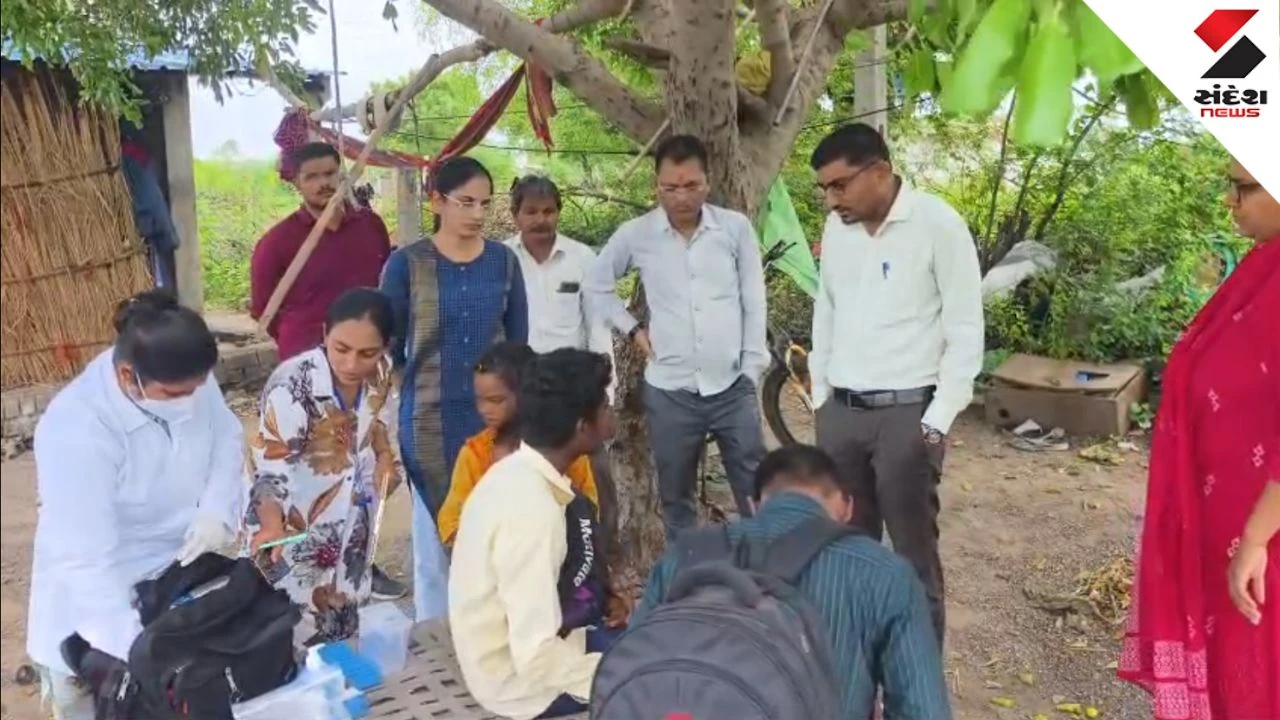 Bhavnagar News: Chandipura Virus Confirmed, 6-Year-Old Child Dies in Melana
