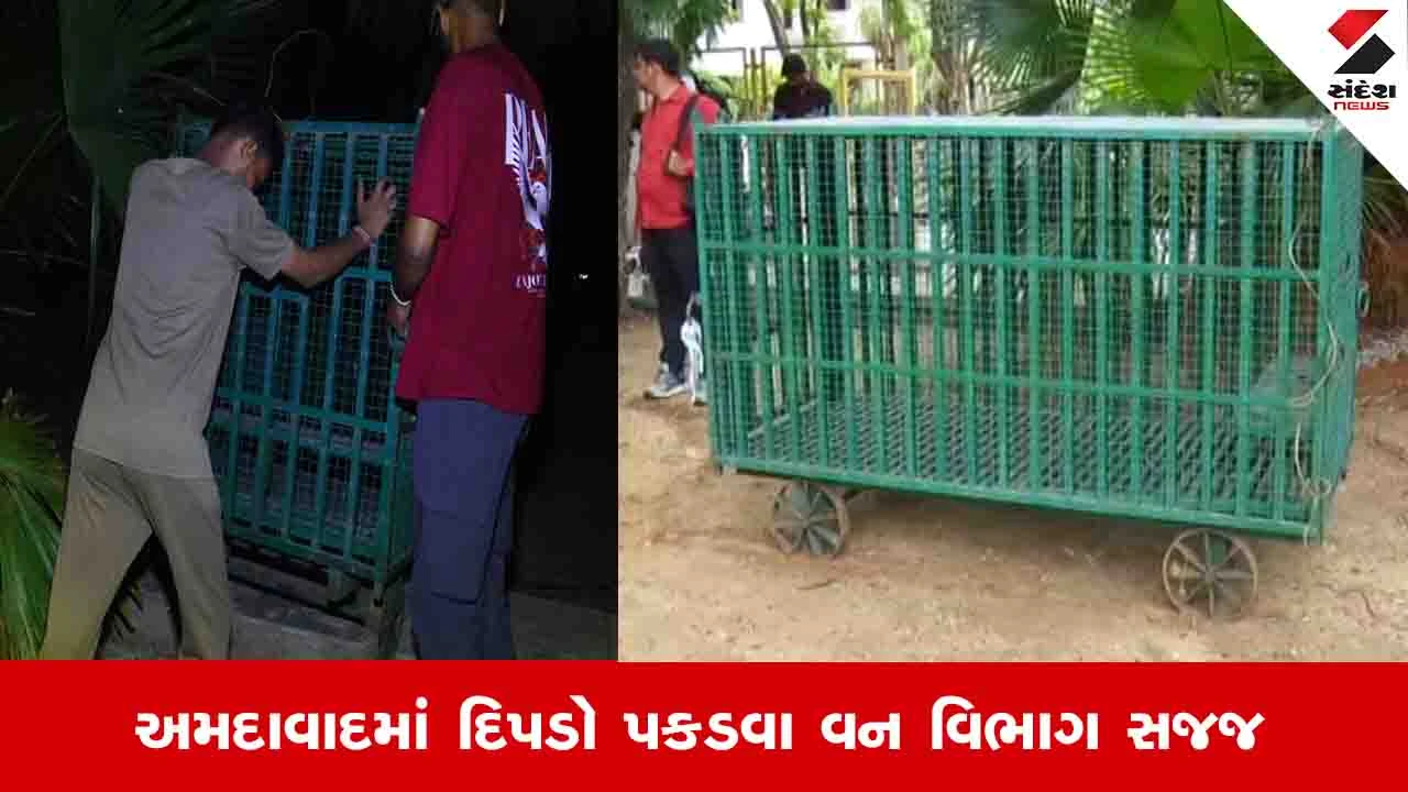 Ahmedabad News:  ઘુમા વિસ્તારમાં દિપડો પકડવા માટે દોઢ કિ.મીનો વિસ્તાર કોર્ડન કરાયો, 4 જેટલા પાંજરા ગોઠવ્યા
