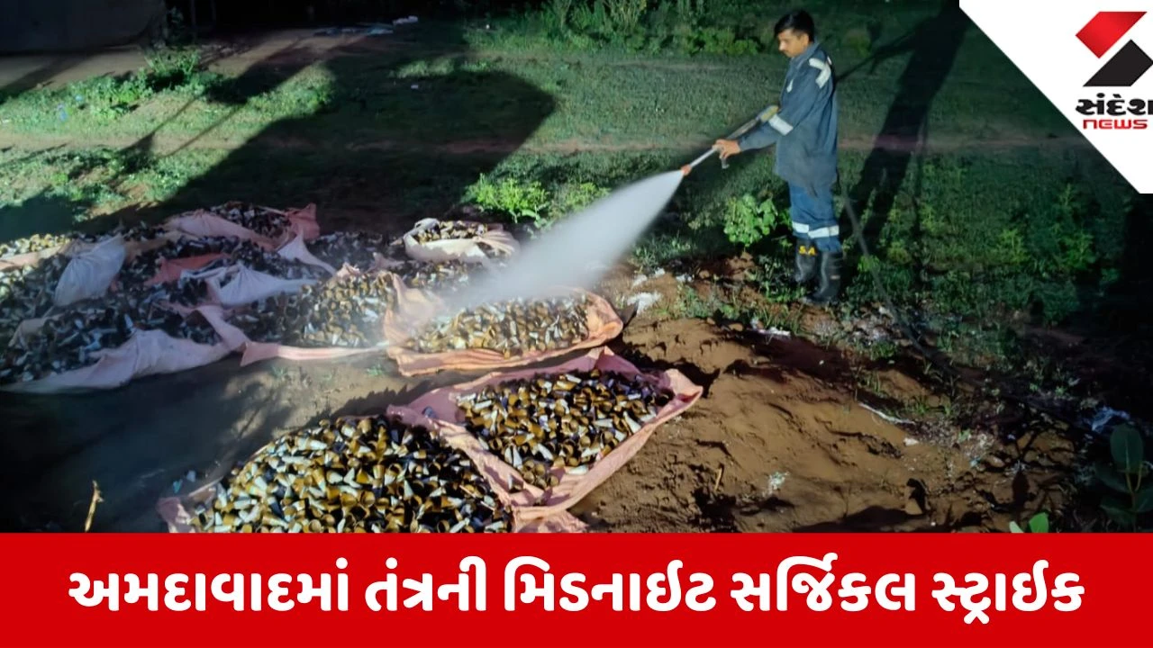 Ahmedabad: ગેરકાયદે ચાલતી ફટાકડા ફેક્ટરીઓ સામે કાર્યવાહી, મોટી હોનારત ટાળવા ફાયર વિભાગે દારૂગોળાના જથ્થા પર પાણી ફેરવ્યું