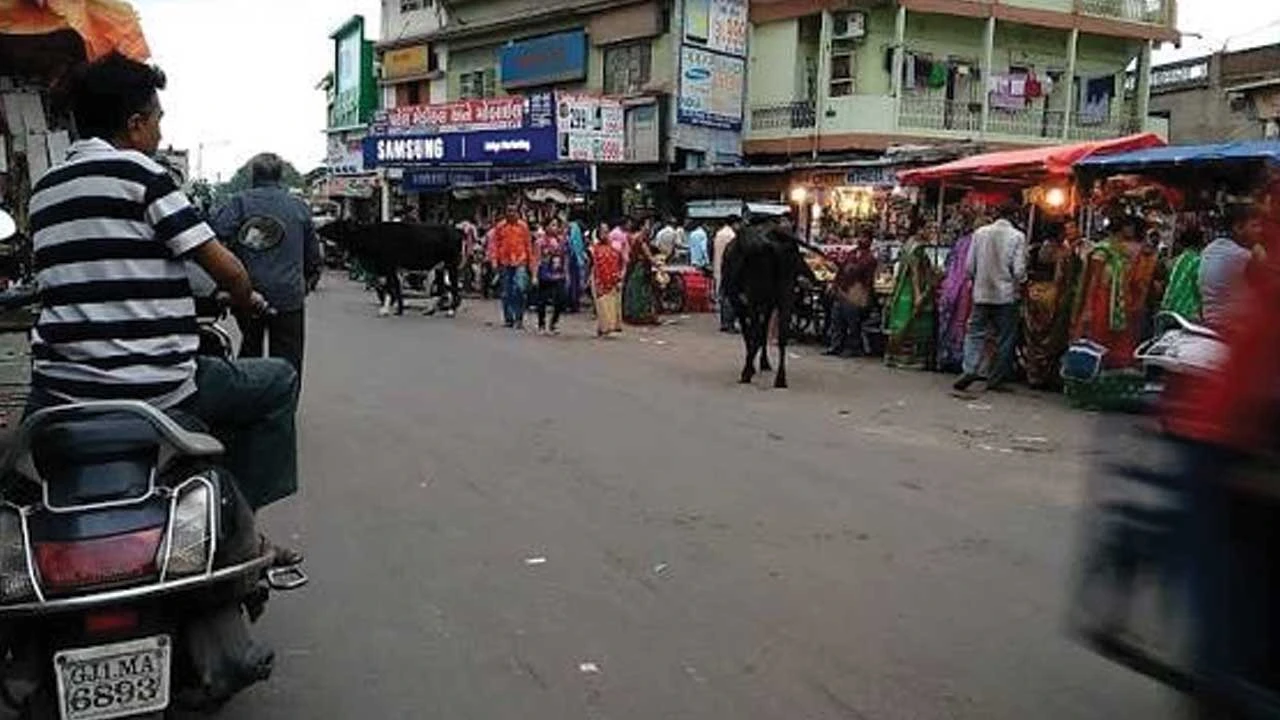 મણિનગરમાં ગેરકાયદેસર દબાણોની સમસ્યા વિકટ