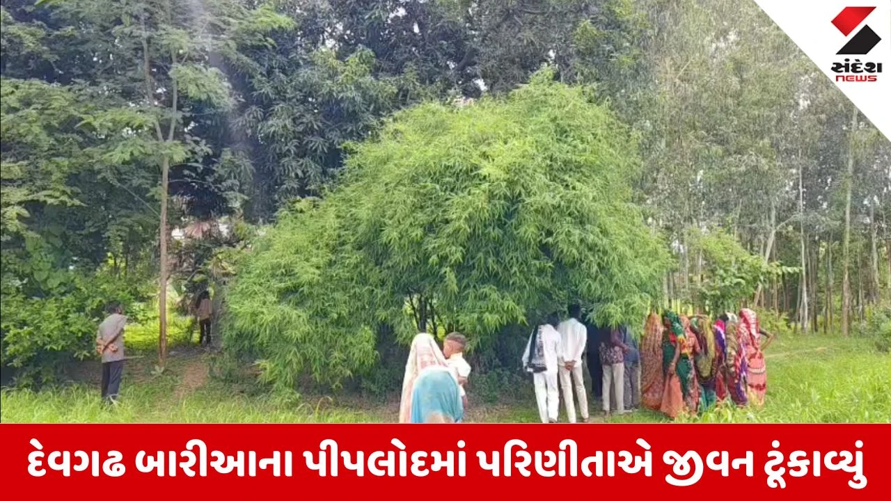 Dahod News: દેવગઢ બારીઆમાં પરિણીતાનો ગળેફાંસો ખાઈ આત્મહત્યા