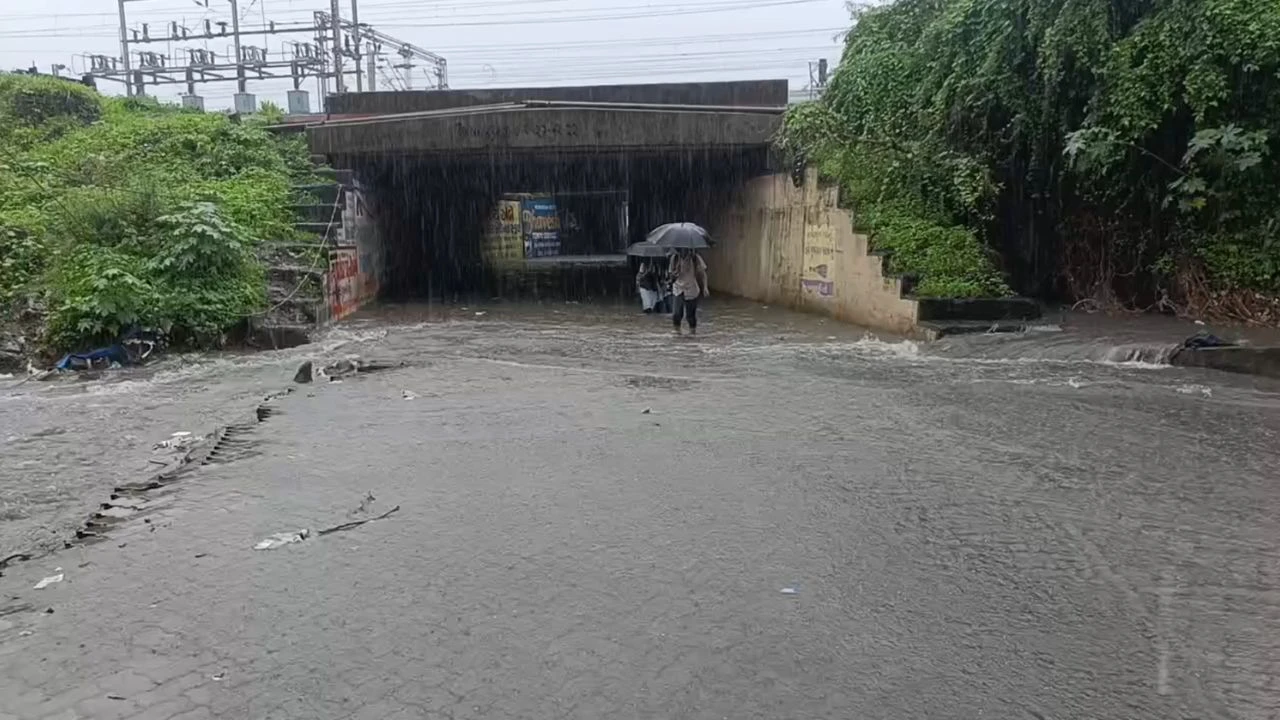 Valsad Rain Update: Underpass Waterlogged, Traffic Disrupted in 40 Villages