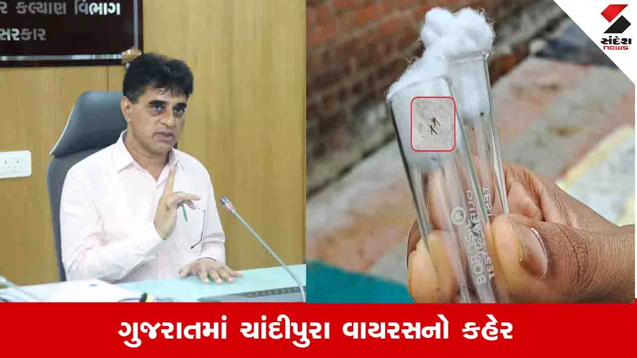 Gandhinagar News: ગુજરાતમાં ચાંદીપુરા વાયરસથી કૂલ 8 દર્દીના મોત: આરોગ્ય મંત્રી પ્રફૂલ પાનશેરિયા
