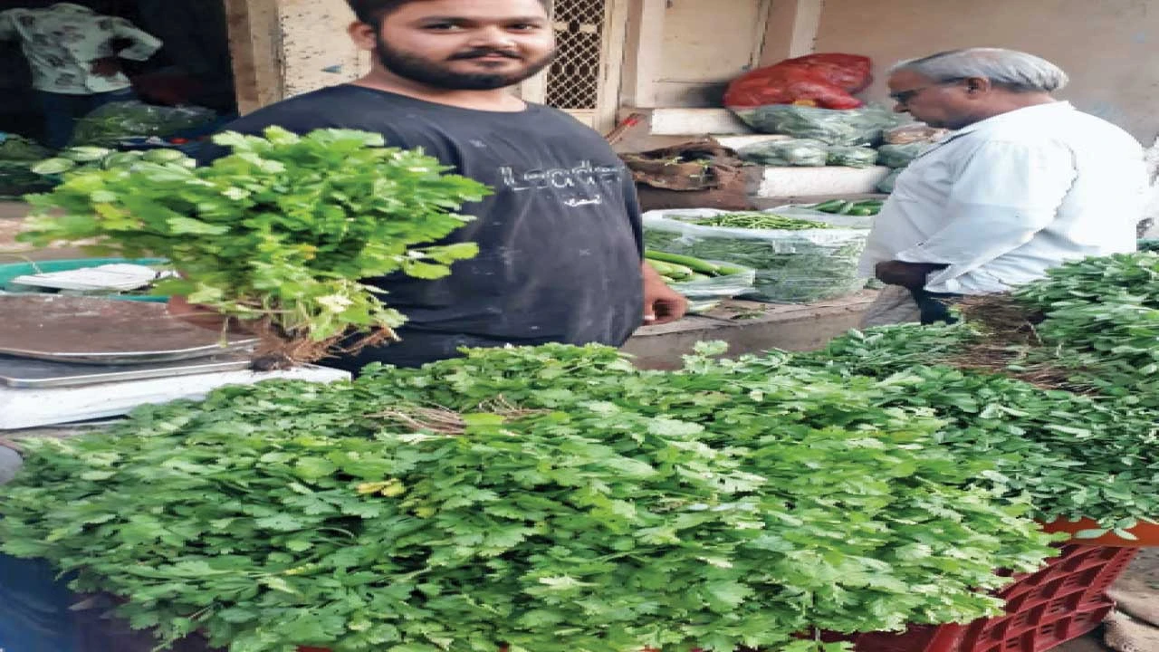 શાકભાજીના ભાવ આસમાને: ગૃહિણીઓના રસોડાનું બજેટ ખોરવાયું