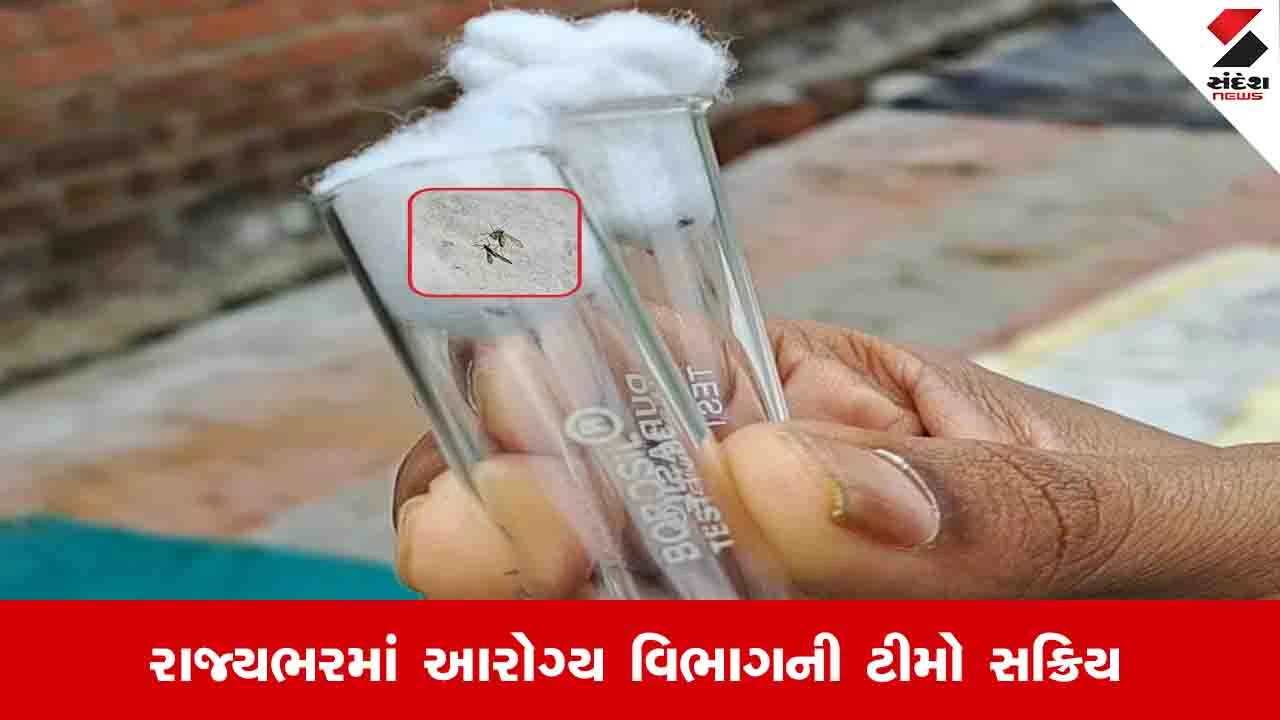 Ahmedabad News: AMC વિસ્તારમાં ચાંદીપુરાનો કેસ નોંધાયો, 3 દિવસ પહેલા લીધેલા સેમ્પલ પોઝિટિવ આવ્યા