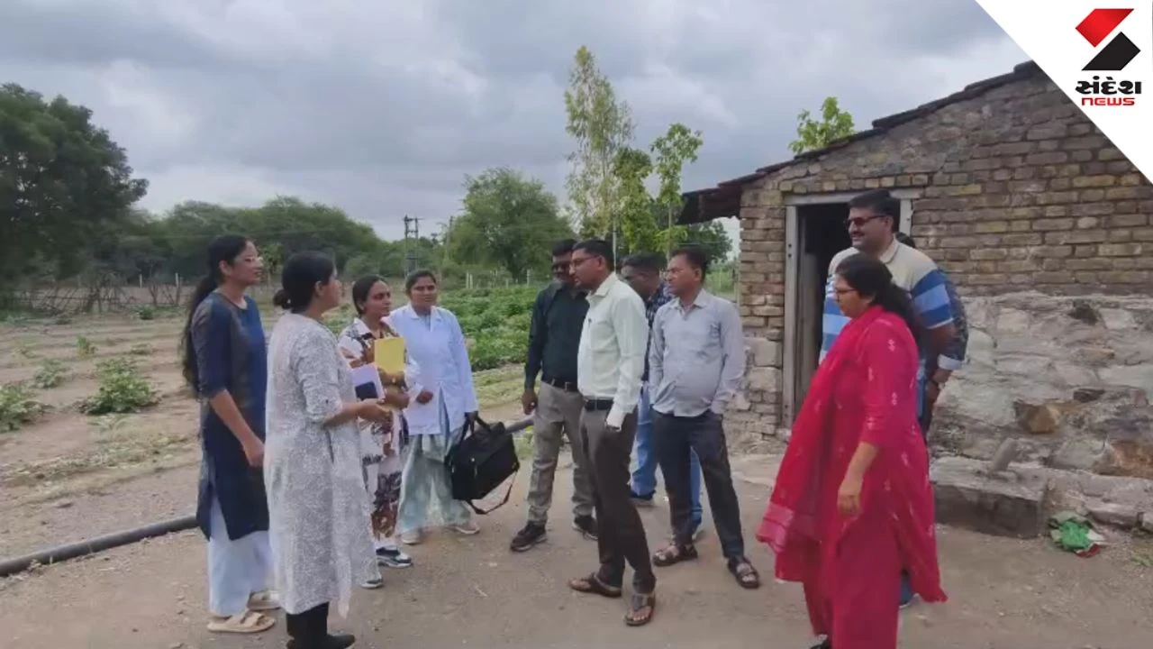 Bhavnagar News: Chandipura Virus Confirmed, 6-Year-Old Child Dies in Melana