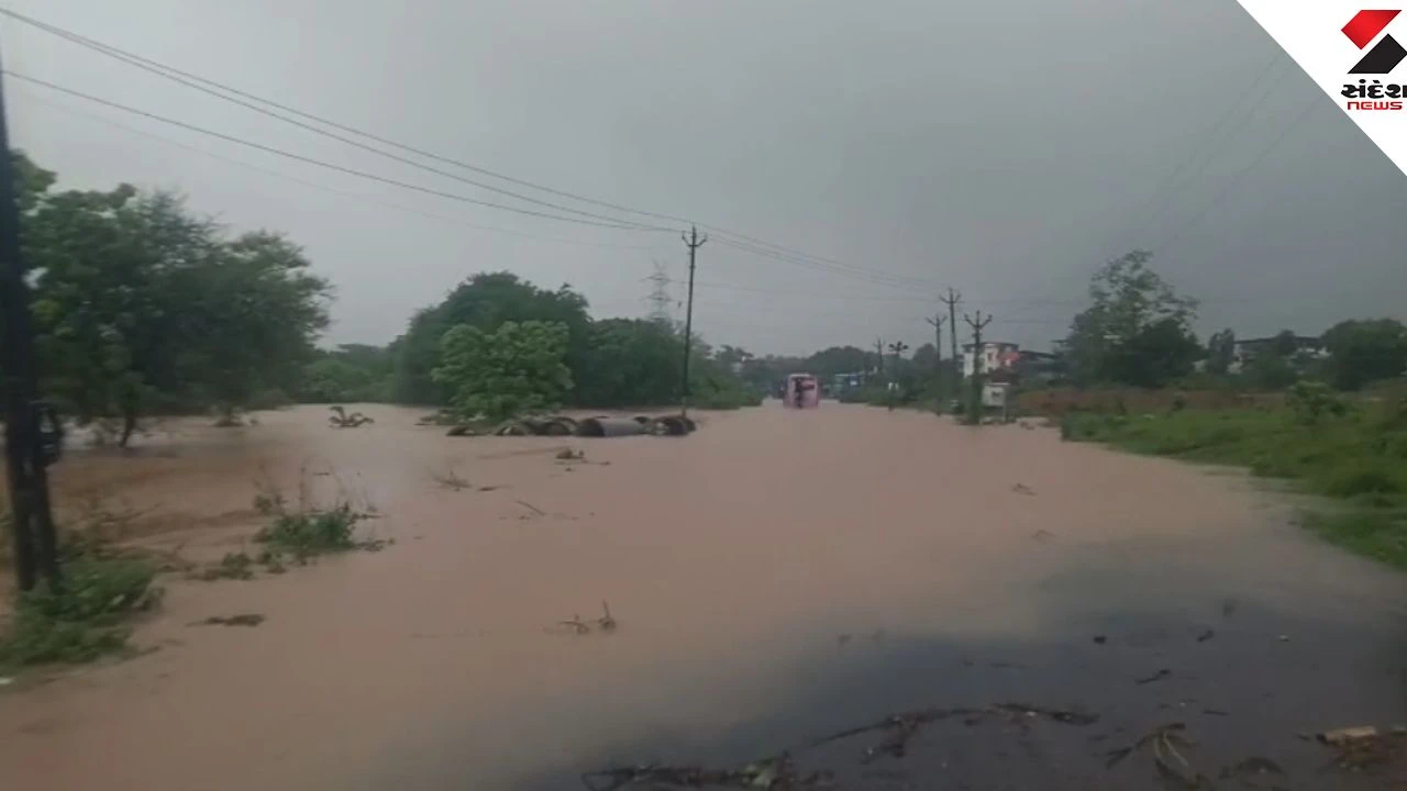 South Gujarat Heavy Rain: 16 Inches Rain in Kaprada, Schools Closed in Valsad & Daman