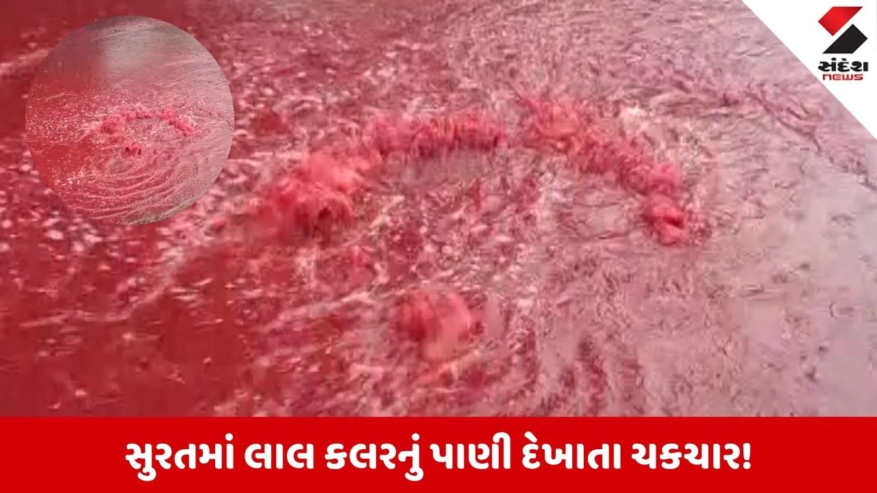 Surat News: પાંડેસરામાં લાલ કલરનું કેમિકલયુક્ત પાણી છોડાતાં ચકચાર, GPCB નજીક જ ખાડીમાં લાવા જેવા દ્રશ્યો