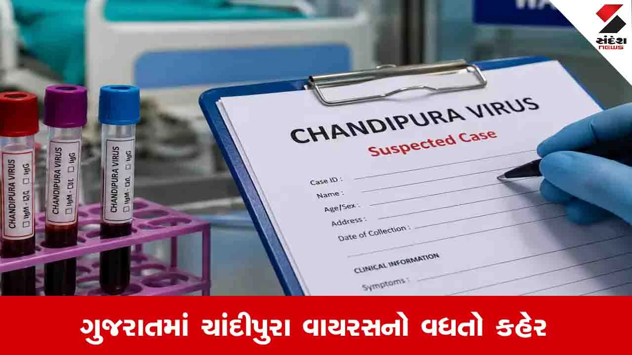 Gujarat News: રાજ્યમાં ચાંદીપુરા વાયરસના 89 શંકાસ્પદ કેસ નોંધાયા, 12 દર્દીઓના મૃત્યુ