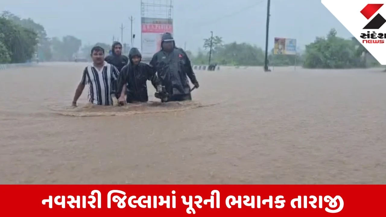 Navsari Rain: પૂર્ણા અને કાવેરી નદીના પૂરથી શહેર ઘેરાયું, ચીખલીમાં 15થી વધું લોકોનું સાહસિક રેસ્ક્યૂ