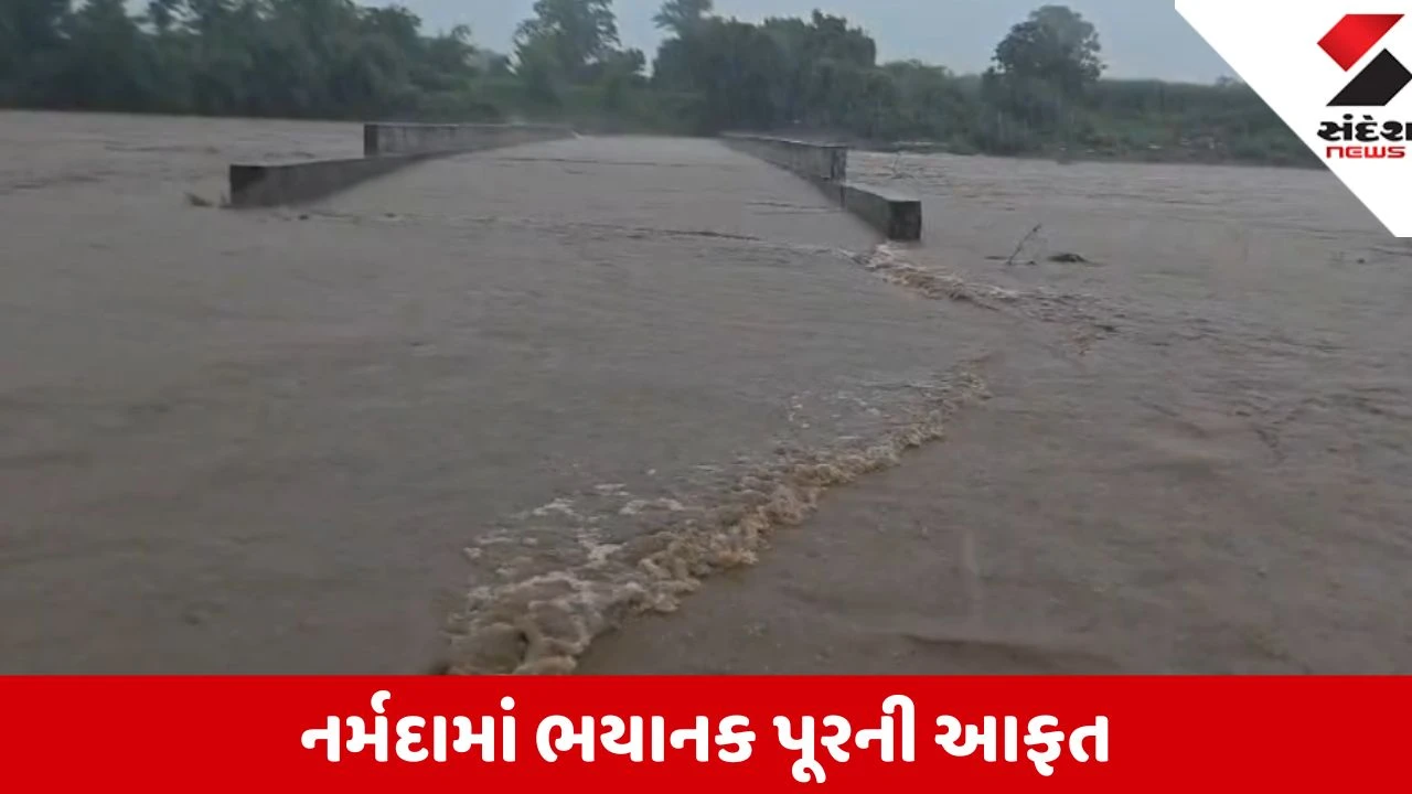 Narmada: વહેલી સવારથી અતિભારે વરસાદથી તારાજી, કરજણ ડેમમાંથી 30 હજાર ક્યુસેક પાણી છોડાશે