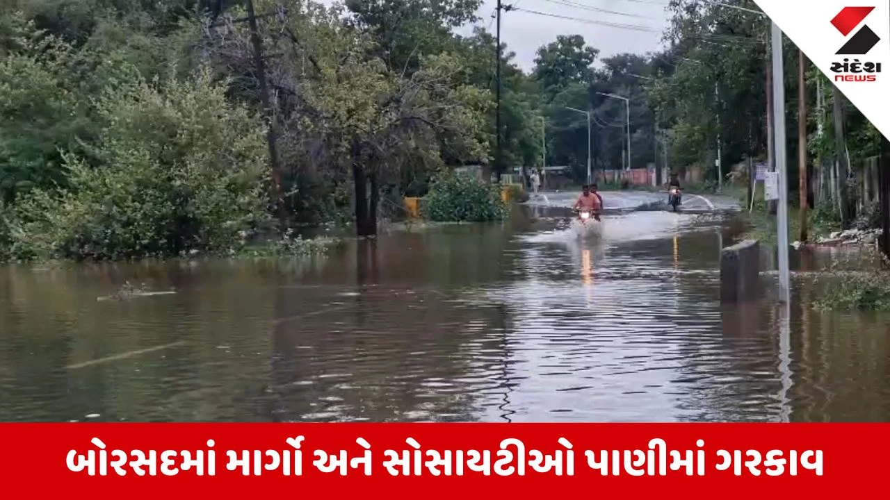Anand Rain Update: બોરસદમાં 24 કલાકમાં 10 ઇંચ વરસાદ, તળાવો ઓવરફ્લો, માર્ગો અને સોસાયટીઓ પાણીમાં ગરકાવ
