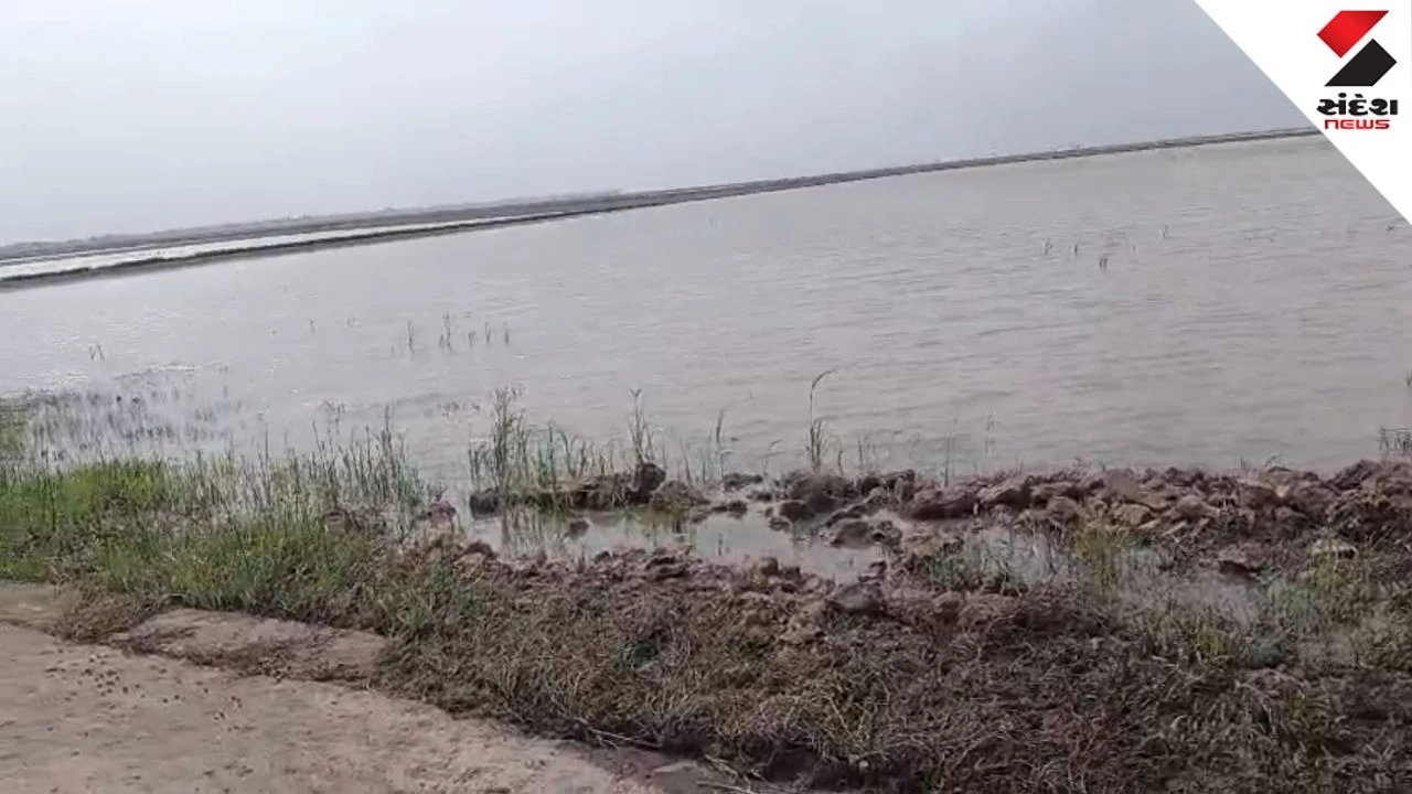 Porbandar News: Water Released from Bhadar River, Major Roads Closed and Causeway Flooded