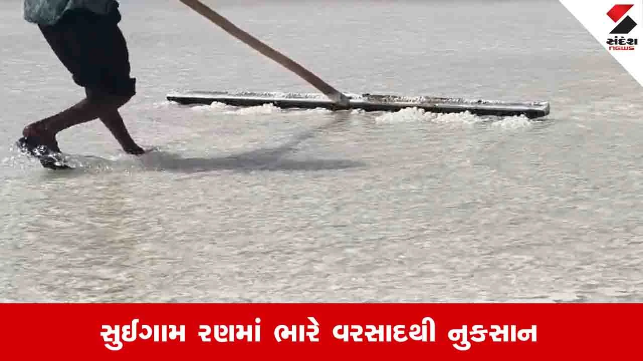 Banaskantha News: ભારે વરસાદથી રણ વિસ્તારમાં મીઠું ધોવાઈ જતાં અગરિયાઓને નુકસાન, સરકાર પાસે સરવેની માગ