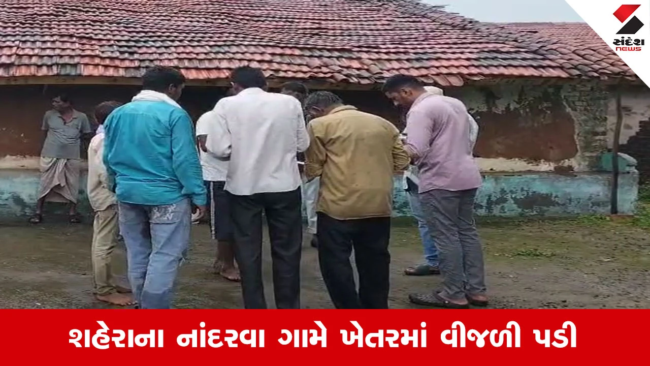 Panchmahal News: શહેરાના નાંદરવા ગામમાં ડાંગરની રોપણી વખતે વીજળી પડતા મહિલાનું મોત
