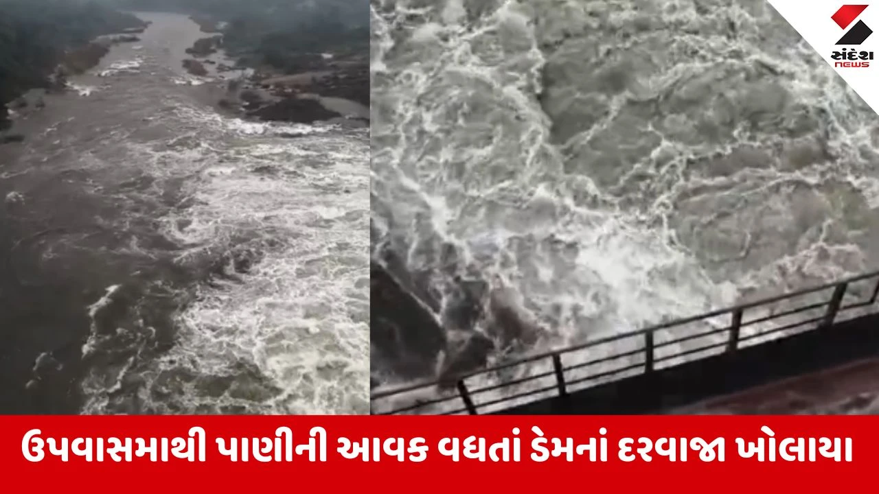 Heavy Rain In Morbi: ઘોડાધ્રોઈ ડેમના દરવાજા ખોલાયા, મોરબી-માળિયાના કુલ 10 ગામો કરાયા એલર્ટ