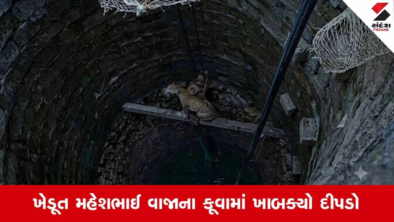 Gir Somnath News: સુત્રાપાડાના કદવાર ગામે ખુલ્લા કૂવામાં ખાબકેલા દીપડાનું વન વિભાગે કર્યું સફળ રેસ્ક્યુ
