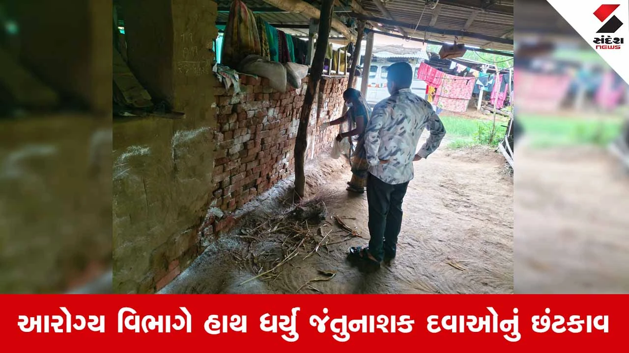 Kheda News: મહુધાના સાપલા ગામે ચાંદીપુરા વાયરસનો નોંધાયો પ્રથમ કેસ, 9 વર્ષીય બાળકી આવી વાયરસની ઝપેટમાં!