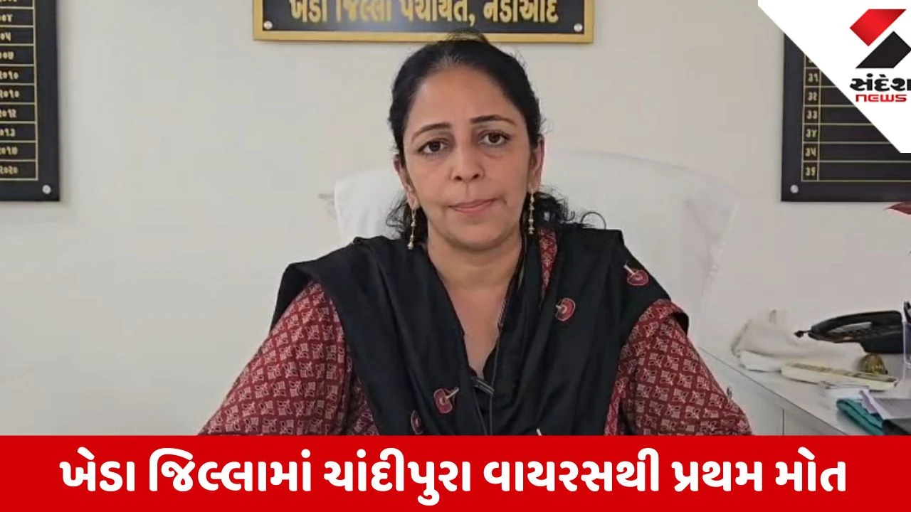 Kheda: મહુધાના સાપલા ગામમાં ચાંદીપુરા વાયરસથી 9 વર્ષીય બાળકીનું મોત, સાપલા ગામમાં આરોગ્ય વિભાગનો સર્વે શરૂ