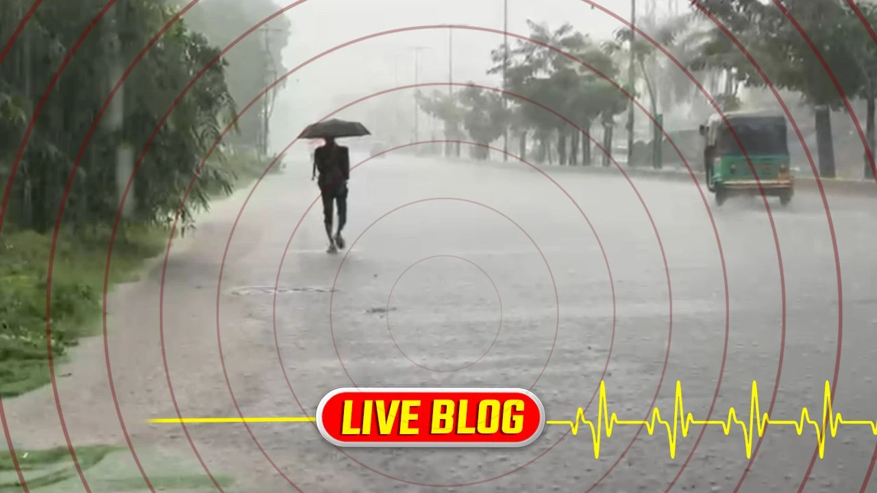 Gujarat Latest News Live :  વડોદરા શહેર જિલ્લો ચછા છોટાઉદેપુરમાં વહેલી સવારથી જ ધોધમાર વરસાદ