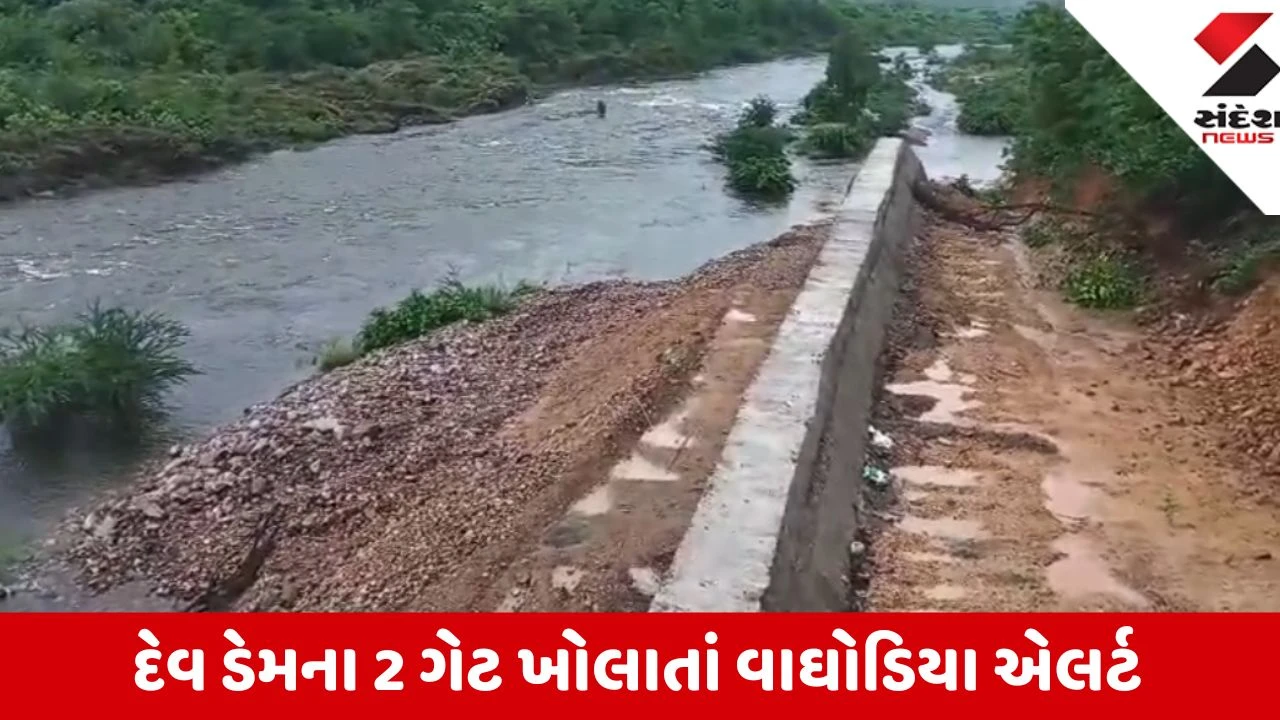 Vadodara: 2 કલાકમાં 2 ઇંચ વરસાદથી પાણી ભરાયા, દેવ ડેમના 2 ગેટ ખોલાતાં વાઘોડિયા એલર્ટ