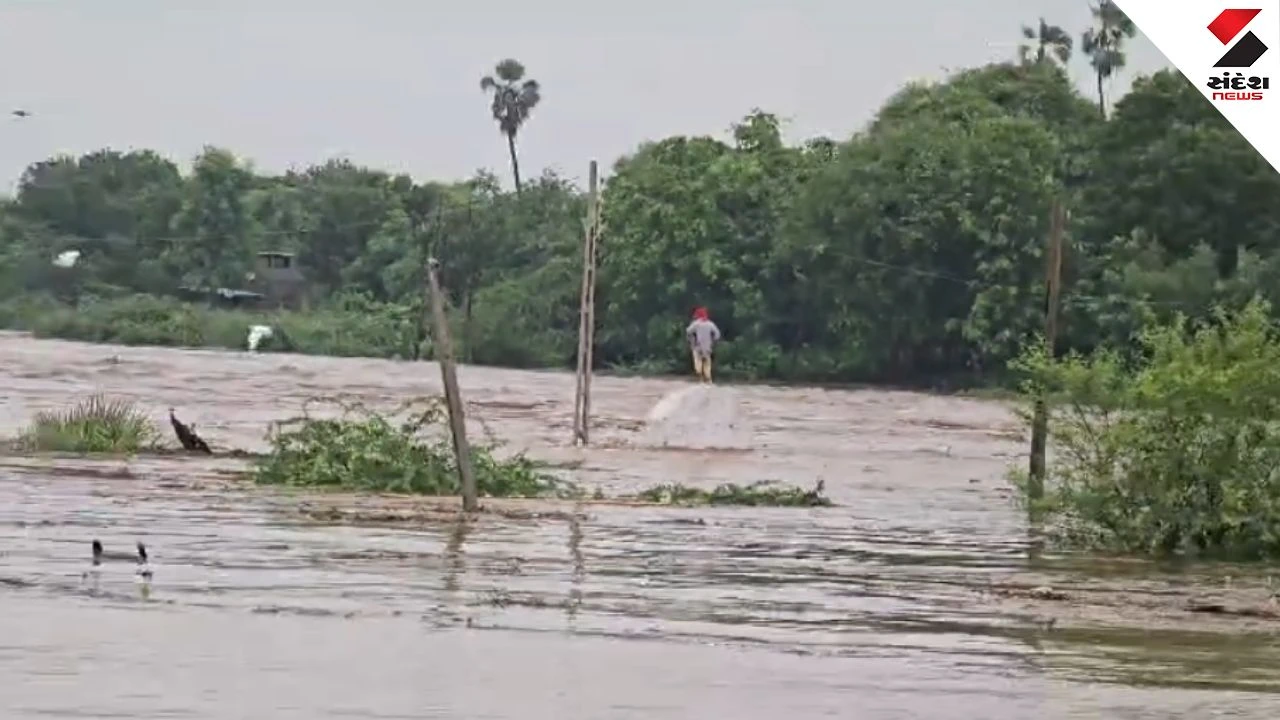 Heavy Gujarat Rain Alert: Vadodara & Nasvadi Flooded, Ashwin River Overflows