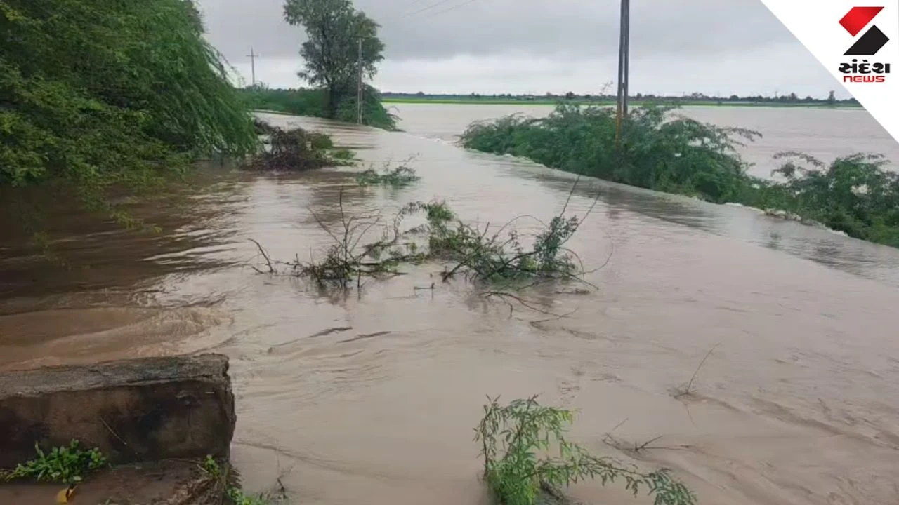 Surendranagar Rain Update: Fatsar Lake Breaches In 3 Places, Flood Water Enters Town in Lakhtar