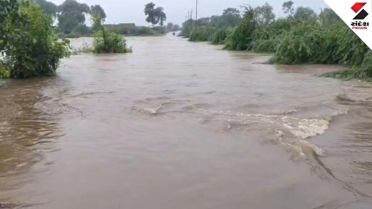 Heavy Rain in Surendranagar: Lakhtar & Limbdi Receive 3.5 Inches, Vansal Dam Overflows