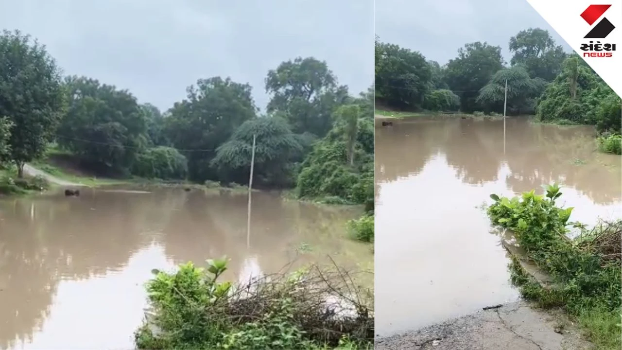 Vadodara News: Dhadhar River Flood Isolates Navi Nagari in Kherda Village of Karjan
