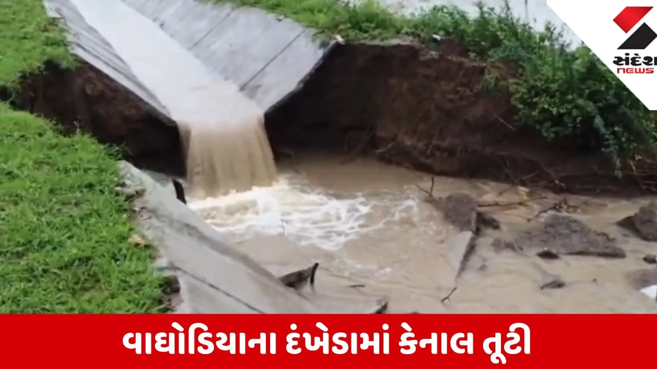 Vadodara: વાઘોડિયાના દંખેડામાં દેવ સિંચાઈ કેનાલ તૂટી, ખેડૂતોનો વાવેતર કરેલો પાક સંપૂર્ણ નાશ પામ્યો