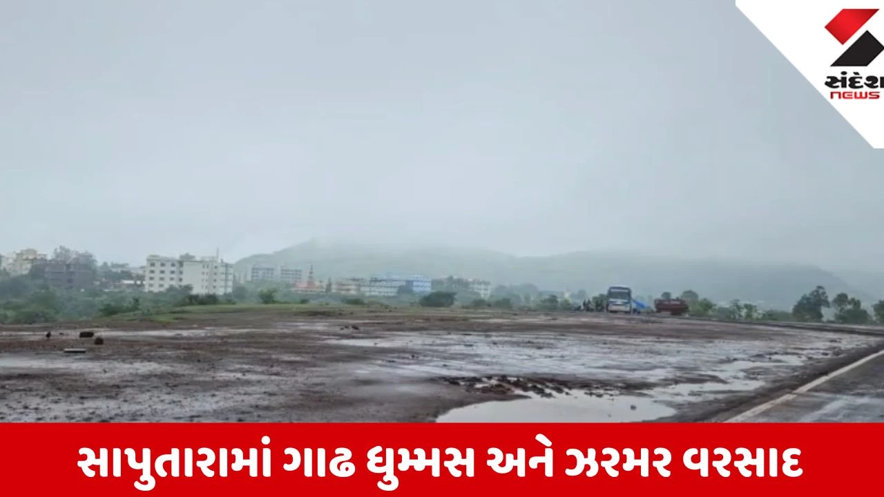 Dang: સાપુતારામાં પ્રવાસીઓનો ભારે ધસારો, ગાઢ ધુમ્મસ અને ઝરમર વરસાદ વચ્ચે ખીલી ઉઠી કુદરતી સુંદરતા