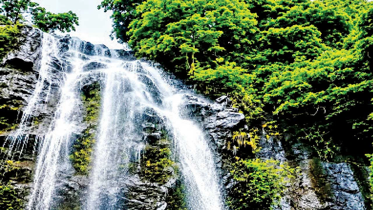 Chhotaudepur: નસવાડીના ડુંગરાળ વિસ્તારમાં આવેલો ઉડેટ ધોધનો અદ્ભુત નજારો