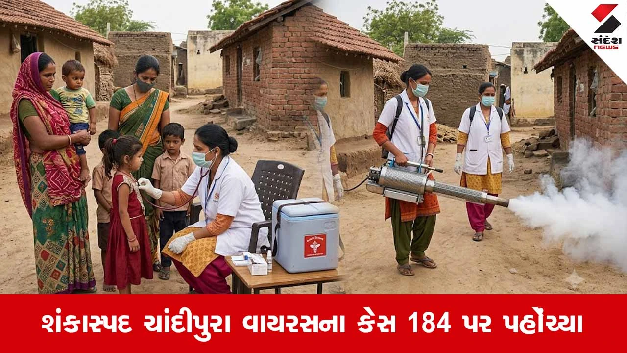 Gujaratમાં ચાંદીપુરા વાયરસનો ભારે કહેર: 35 પોઝિટિવ કેસ વચ્ચે 22 બાળકોના કરૂણ મોત!